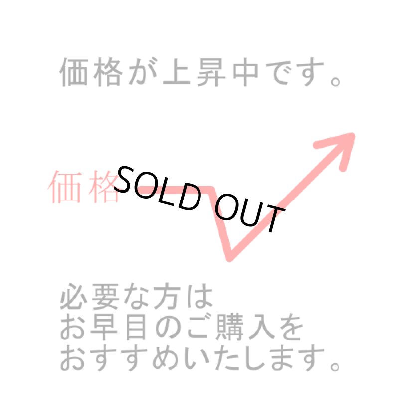 画像2: CUSTOM AS-83C【改0.5】 【PREMIUM】 （イージーパッケージ） (2)